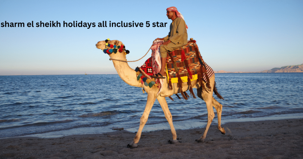 sharm el sheikh holidays all inclusive 5 star