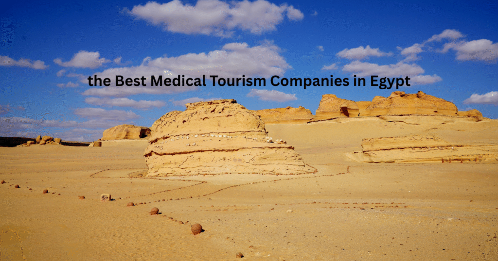 the Best Medical Tourism Companies in Egypt